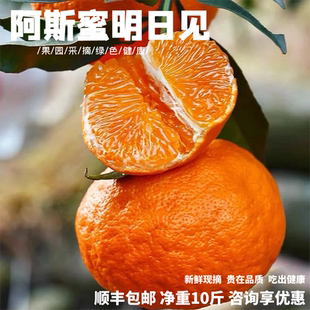 明日见柑橘-甘平已经下架柑橘皇后四川眉山高端水果当季新鲜橘子