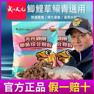 武汉天元邓刚鲫鱼综合颗粒黄尾鲢鳙窝料野钓打窝鱼饵底窝料