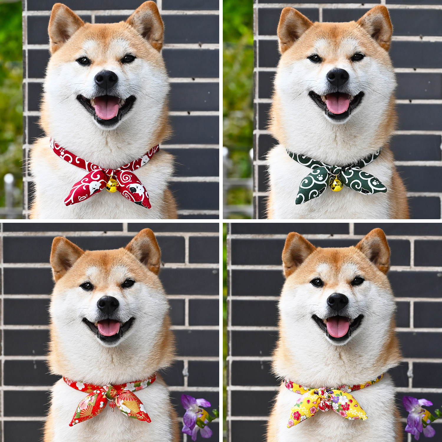 宠物领节狗狗猫咪蝴蝶结唐草纹和风樱花柴犬柯基围脖颈圈项链饰品,宠物/宠物食品及用品,领结,淘宝优惠券,粉丝福利购,淘宝优惠卷