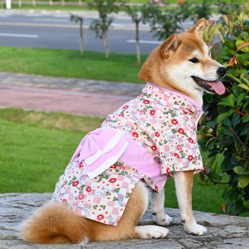 和服猫咪素材模板 和服猫咪图片下载 小麦优选