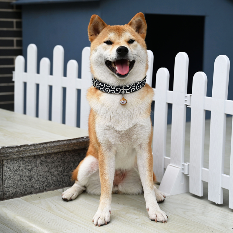 【芮柴家唐草纹项圈】日式狗项圈 柴犬柯基宠物小型犬用脖圈颈圈