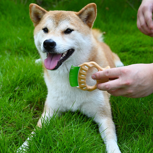 柴犬贝壳梳 宠物猫咪狗狗柯基泰迪换毛开结清理去浮毛神器狗梳子