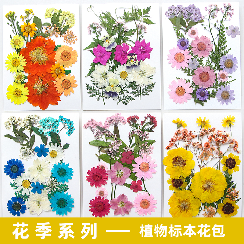 花季干花包植物标本手工DIY