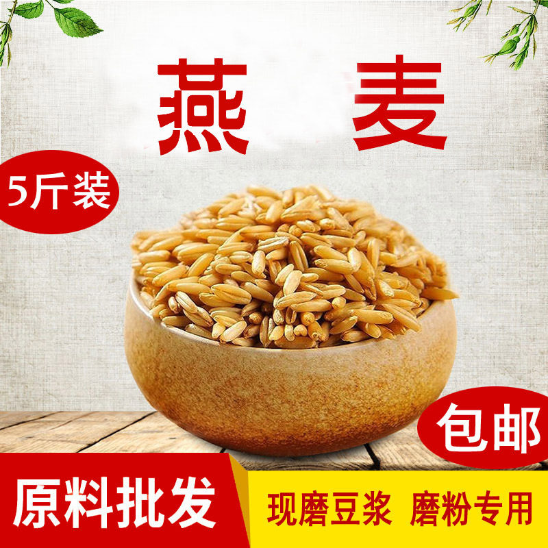 熟燕麦低温烘焙五谷杂粮商用早餐代餐现磨豆浆原料打豆浆5斤散装
