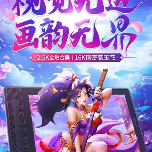 {议价}绘王Kamvas Pro13(2.5K)数位屏，13.3英寸