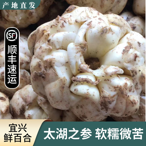 2025现挖宜兴新鲜食用百合顺丰