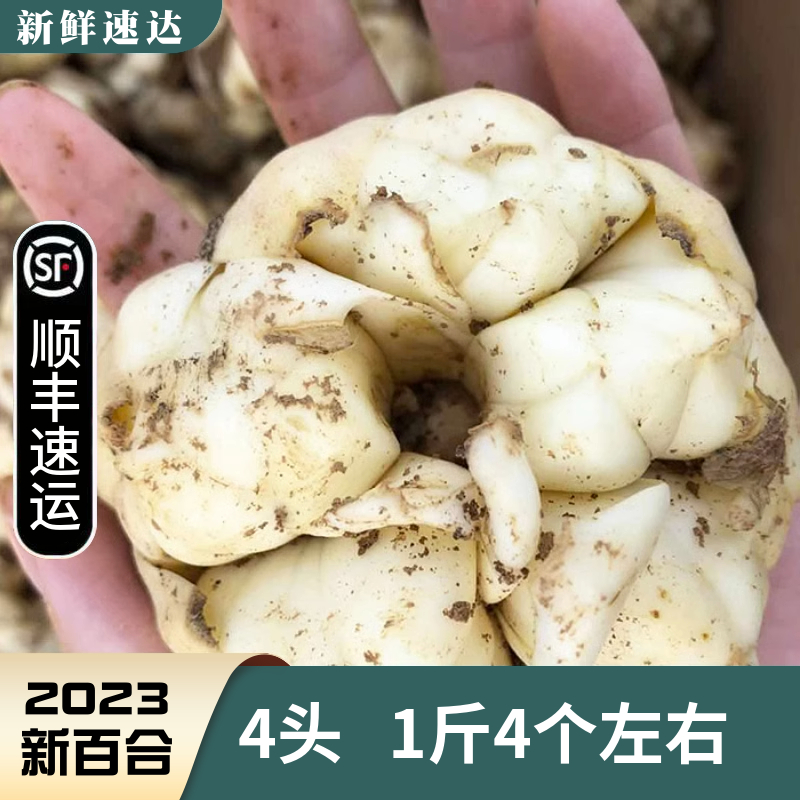 【顺丰包邮】宜兴新鲜百合1斤500g土特产2500g农家药食同源级微苦-封面