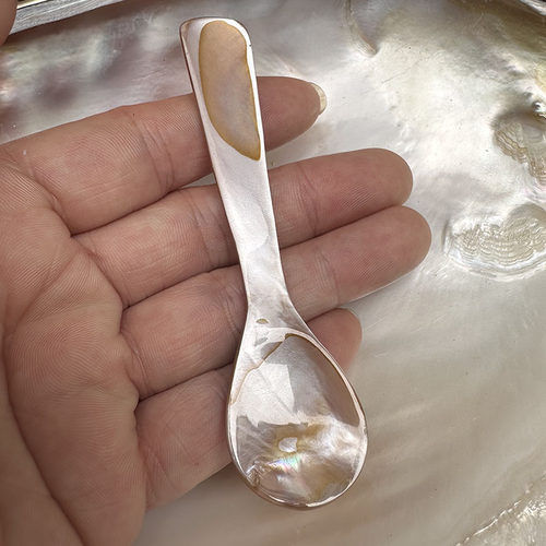 天然贝壳粉咖色高级宴会小勺子