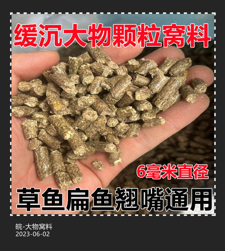 缓沉打窝颗粒翘嘴扁鱼料