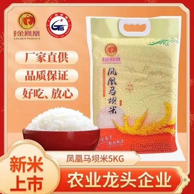 正宗农家凤凰马坝油粘米大米5kg韶关香米10斤长粒南方新现磨新米