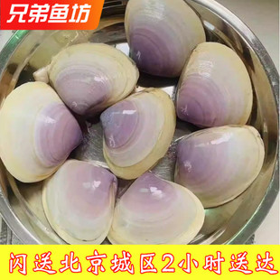 5-7只 500g 北京闪送 贵妃蚌 漳港蚌 西施舌 鲜活海鲜水产漳港贝