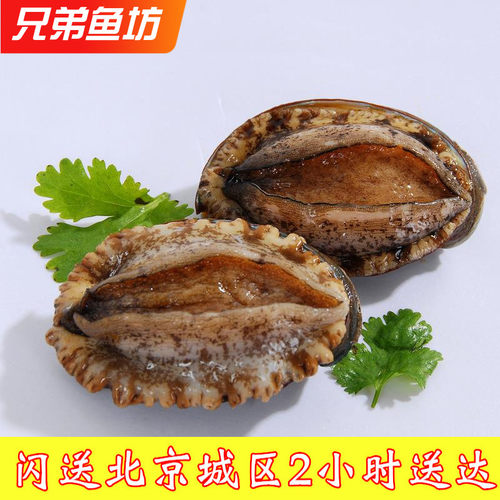 生猛海鲜鲜活大连鲍海鲜水产