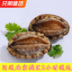 10只装 北京闪送生猛海鲜大连鲍九孔鲍鱼鲜活鲍鱼带壳鲍鱼海鲜水产