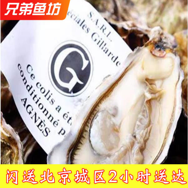 12只装进口法国生蚝吉娜朵 N2 N1 N0 鲜活牡蛎 送生蚝刀 非吉拉多