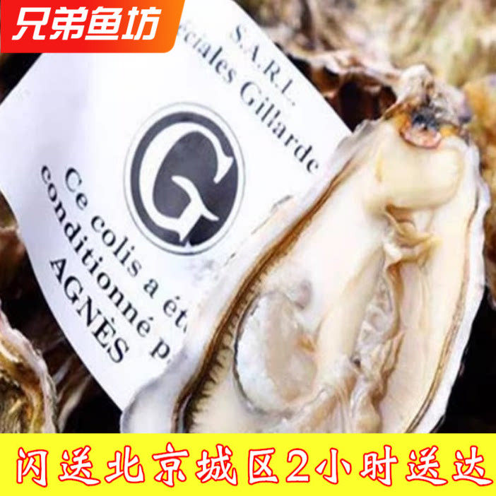 进口法国生蚝吉娜朵 N2 N1 N0 鲜活牡蛎 G字标3只起拍  非吉拉多