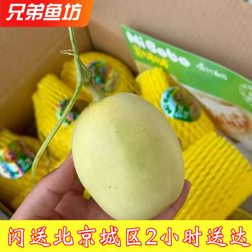 蜜啵啵·高糖蜜瓜甜瓜当季水果