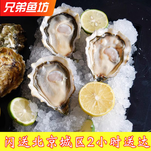 北京闪送 法国白钻生蚝进口 鲜活可生食非吉娜朵 3只起拍