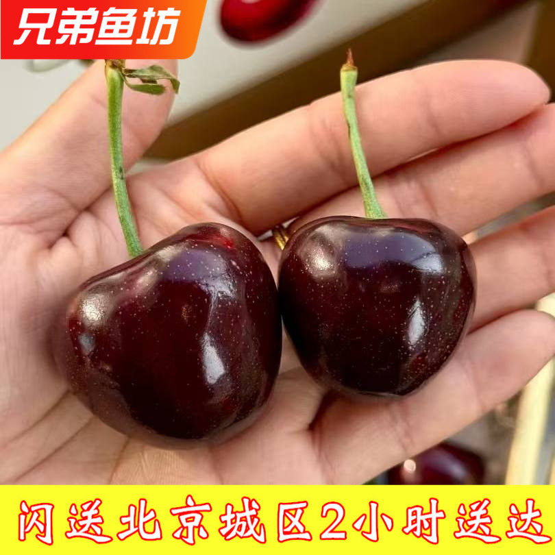 2斤装北京闪送艺树家·俄八樱桃国产车厘子当季新鲜水果礼盒装