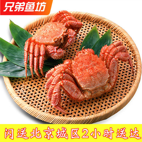 鲜活红毛蟹刺身日料海鲜螃蟹