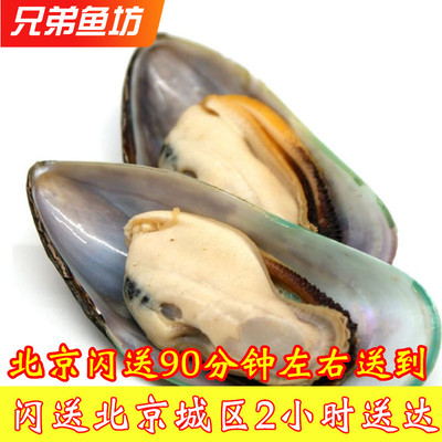 新西兰冷冻青口贝1kg 进口海鲜水产新鲜贻贝翡翠绿青口半壳