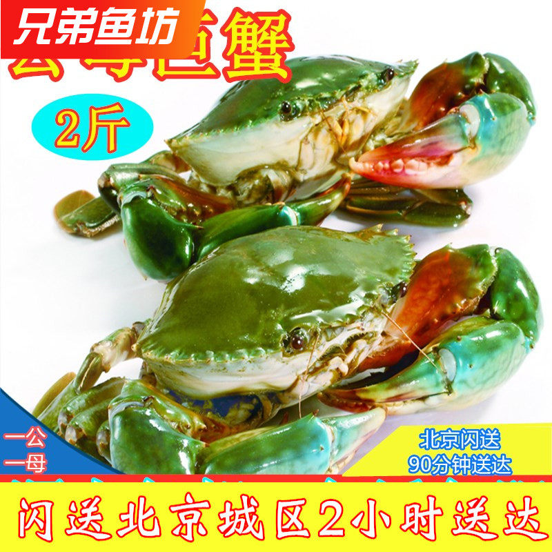 特大鲜活青蟹公母螃蟹