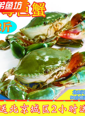 特大鲜活青蟹公母螃蟹