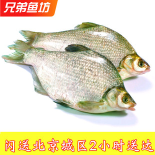 750g/条北京闪送鲜活生猛海鲜武昌鱼口感好扁鱼