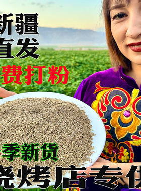 正宗新疆特产孜然粒粉烧烤料