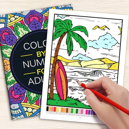 Color by Number for Adults Coloring Book外贸成人解压涂色本