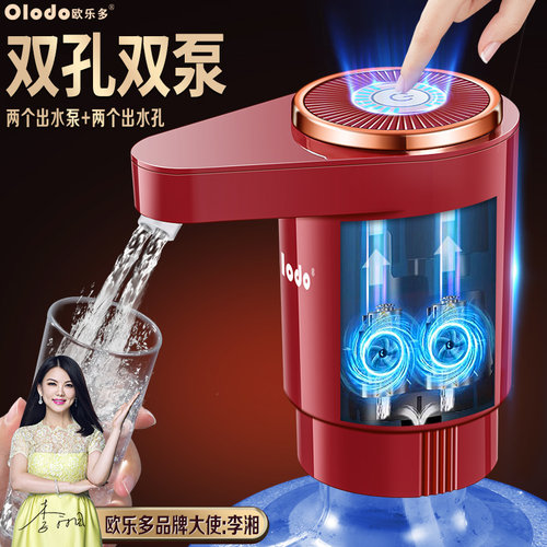双泵抽水器电动桶装水自动吸上水器大瓶矿泉水压水泵纯净水饮水机