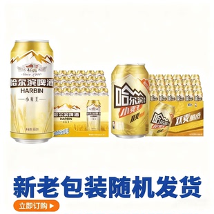 哈尔滨小麦王啤酒易拉罐装 24罐Harbin黄啤酒整箱哈啤源产地 330ml