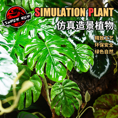 爬宠造景雨林缸仿真植物饲养箱
