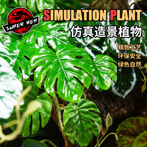 爬宠造景雨林缸仿真植物饲养箱