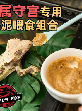 SuperRep爬虫喂食工具硅胶果泥