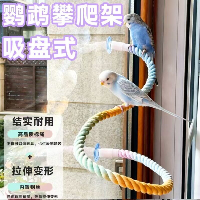 蛇攀爬玩具爬宠鹦鹉吸盘式攀爬绳牡丹虎皮玄凤玩具鸟用秋千站架图片