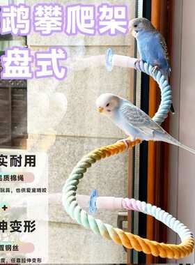 蛇攀爬玩具爬宠鹦鹉吸盘式攀爬绳牡丹虎皮玄凤玩具鸟用秋千站架
