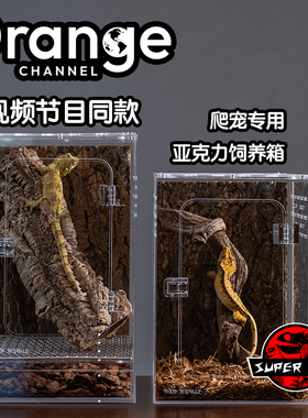 超爬SuperRep亚克力爬虫树栖饲养盒豹纹守宫角蛙乌龟缸昆虫爬宠箱