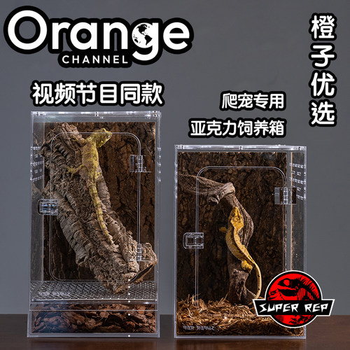 超爬SuperRep亚克力爬虫缸