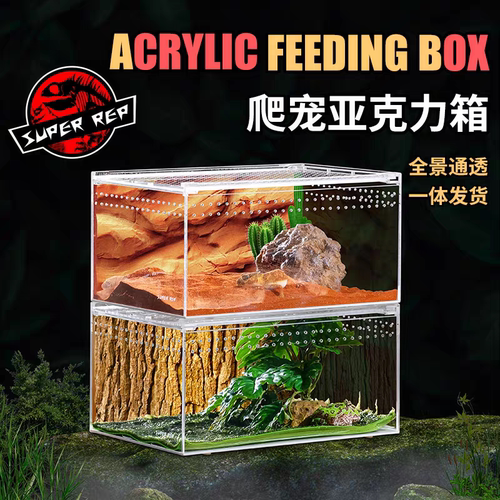 SuperRep爬虫亚克力饲养盒宠物箱