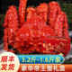 活冻帝王蟹海鲜水产鲜活冻10进口新鲜智利特超大螃蟹约3.6 1.2斤