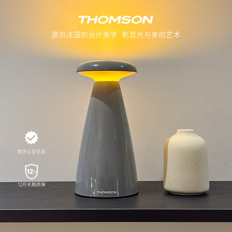 汤姆逊轻奢高级氛围灯餐厅卧室客厅花瓶摆件插花灯充电台灯小夜灯,家装灯饰光源,氛围灯,淘宝优惠券,粉丝福利购,淘宝优惠卷