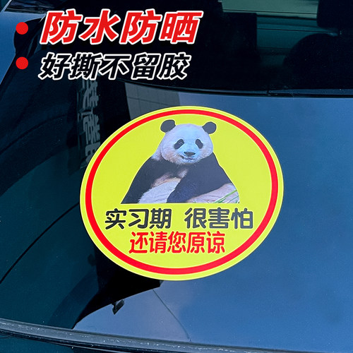 福宝实习贴女司机新手上路贴纸