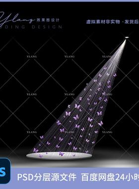 C02婚礼手绘素材丁达尔紫色蝴蝶线帘韩式婚礼光效PSD源文件图