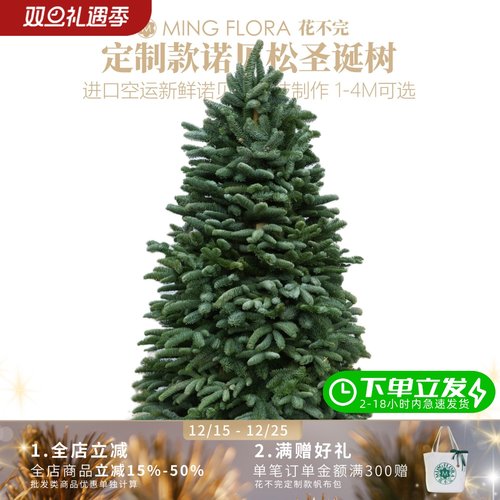 丹麦进口空运鲜活真诺贝松树枝定制做高度1米4米大型诺贝松圣诞树