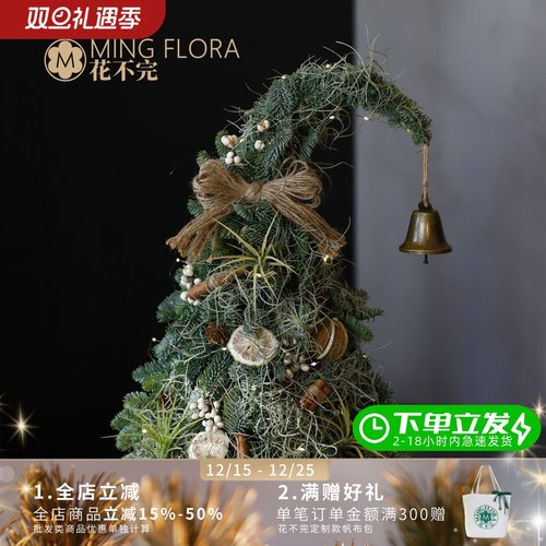 花不完丹麦进口新鲜诺贝松枝真圣诞树歪脖子草帽形状桌面小圣诞树