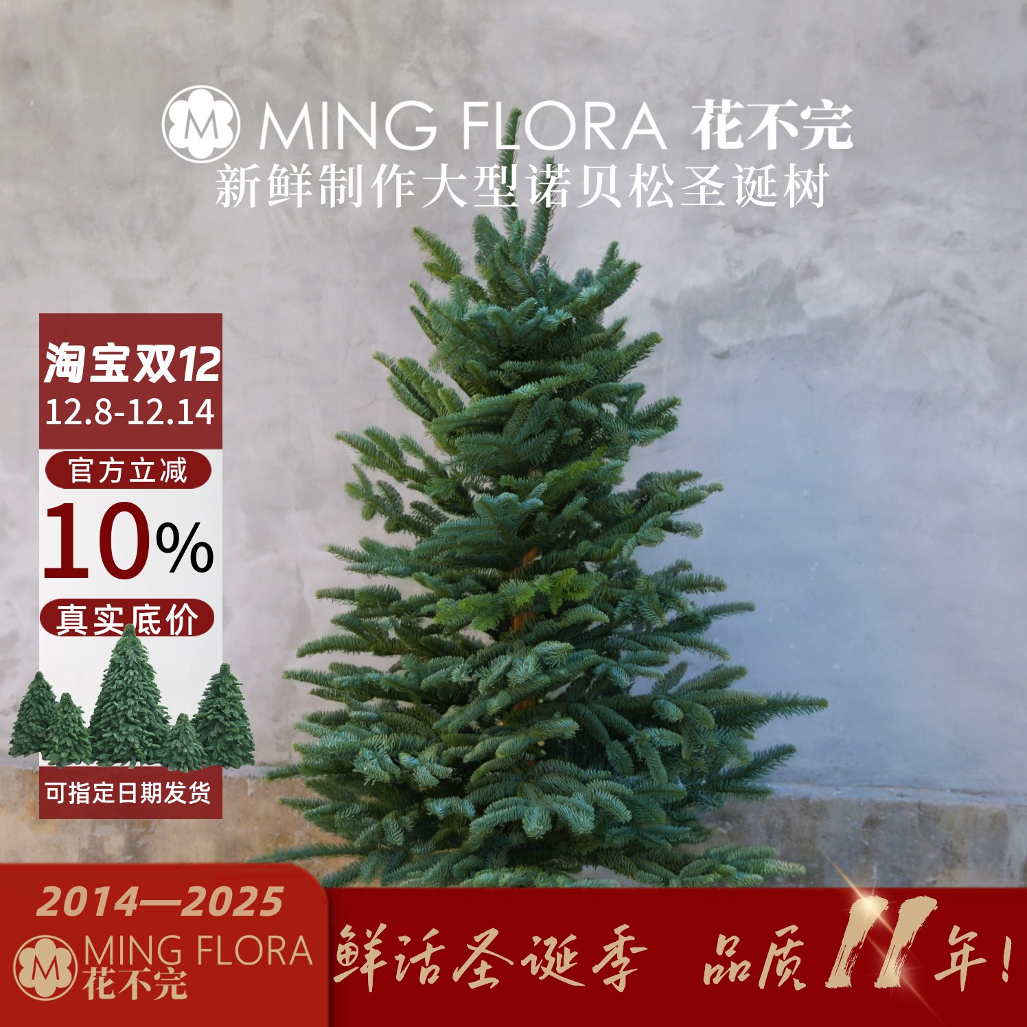 花不完新品经济版大型诺贝松圣诞树丹麦进口空运新鲜手工制做