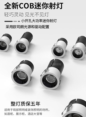欧司朗光源嵌入式迷你小射灯小开孔30/35/40/45/50/60/65客厅防眩