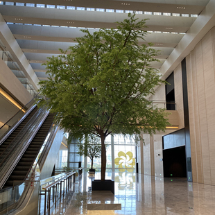 海虹景观假树仿真枫树室内大型假绿植商场办公楼大树楼梯装饰造景