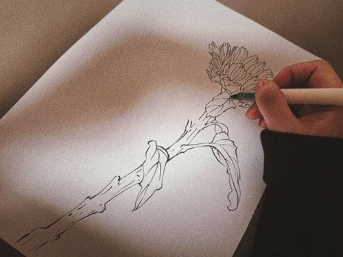 钢笔手绘花卉手稿 现货包邮 可定制尺寸 送长辈父母礼品H003