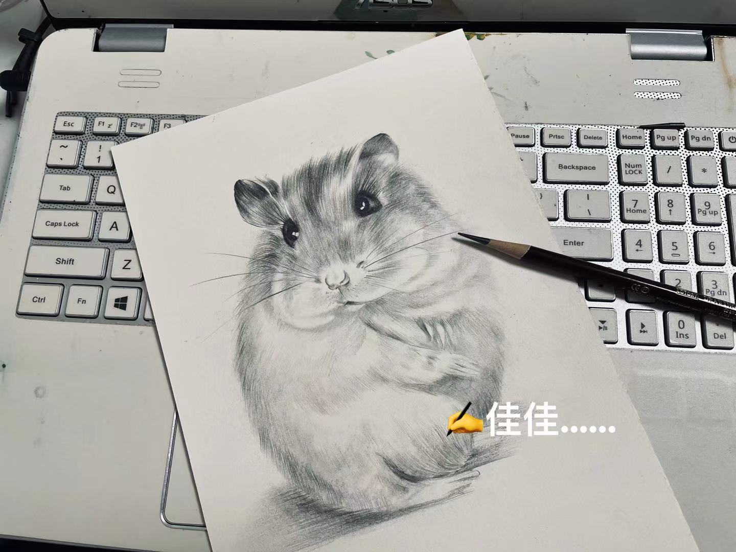 纯手绘素描宠物定做 送朋友/同事diy礼品 素描仓鼠送相框包邮